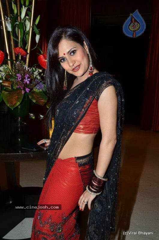 Liza Mallik Big Bhojpuri Debut with Manoj Tiwari - 1 / 88 photos