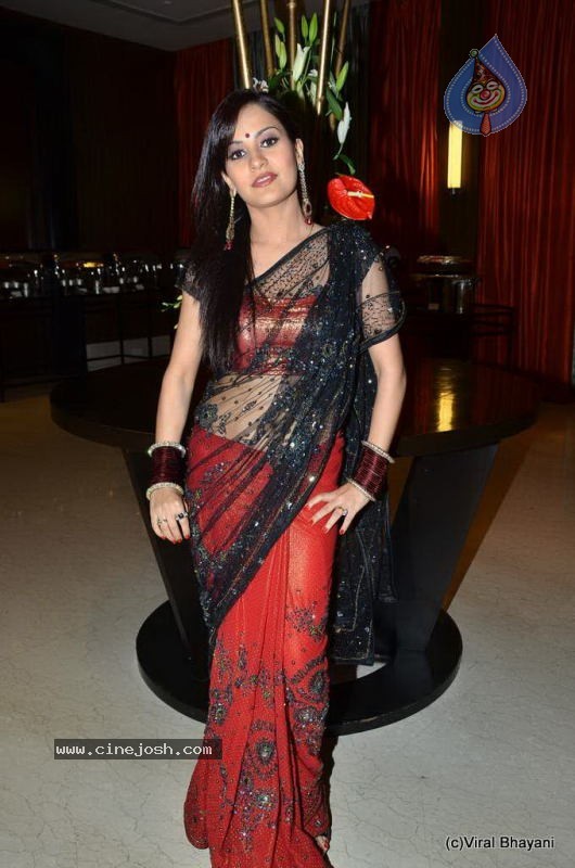 Liza Mallik Big Bhojpuri Debut with Manoj Tiwari - 63 / 88 photos