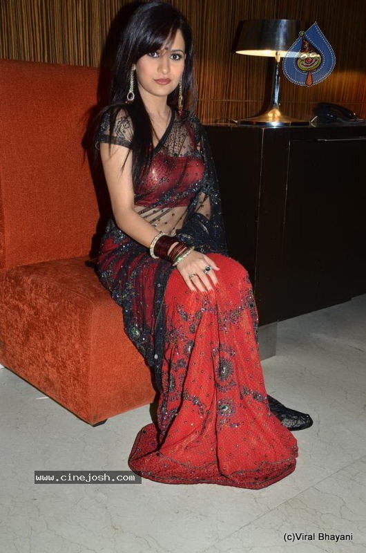 Liza Mallik Big Bhojpuri Debut with Manoj Tiwari - 76 / 88 photos