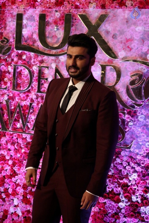 Lux Golden Awards Red Carpet 1 - 26 / 27 photos