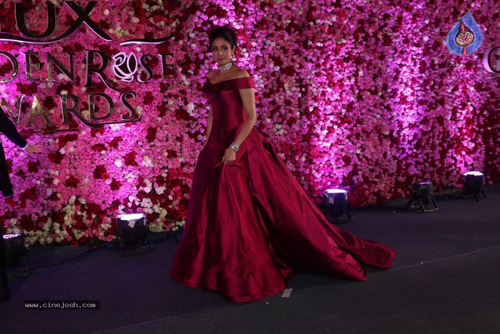 Lux Golden Rose Awards 2017 Red Carpet - 23 / 36 photos