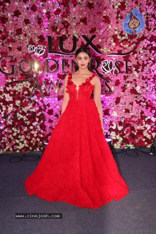 Lux Golden Rose Awards 2017 Red Carpet - 31 / 36 photos