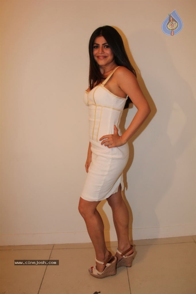 Main Aur Mr. Right Movie Launch - 9 / 39 photos