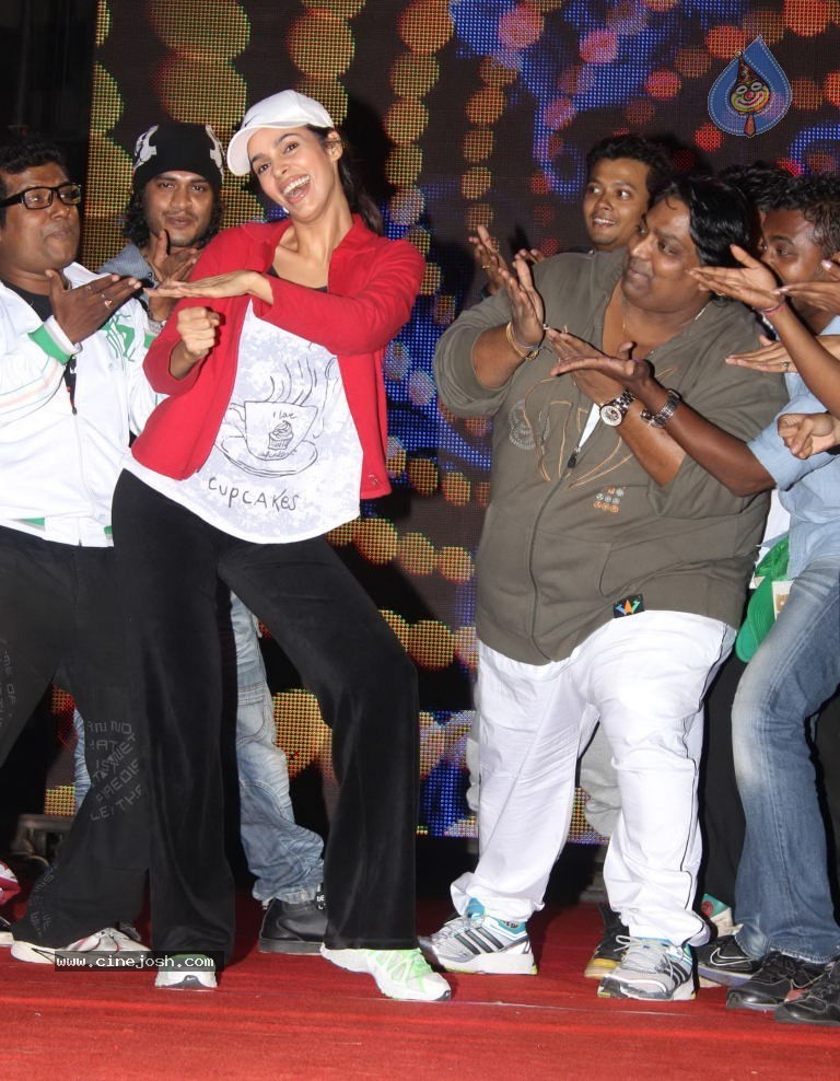 Mallika Sherawat at Tulip Star New Year Event - 23 / 48 photos