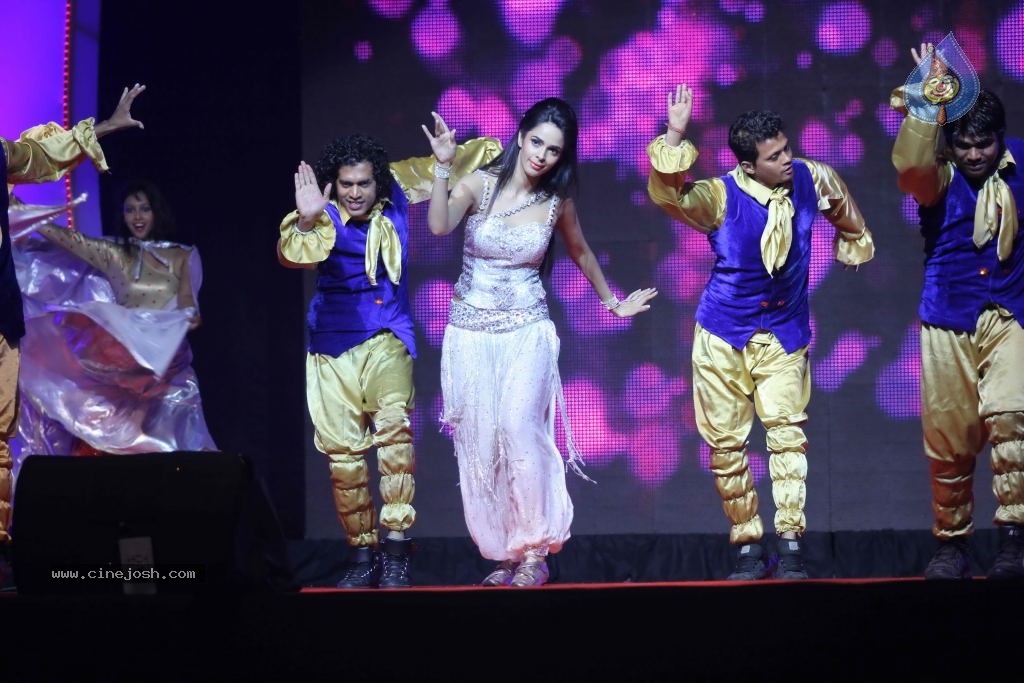 Mallika Sherawat at Tulip Star New Year Event - 34 / 48 photos