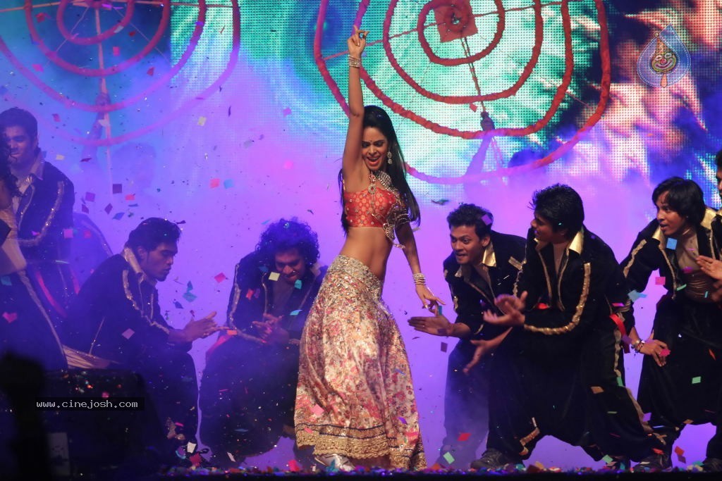 Mallika Sherawat at Tulip Star New Year Event - 47 / 48 photos