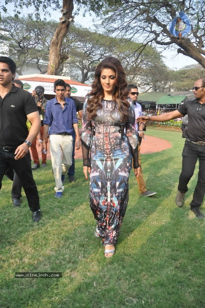 McDowell Signature Indian Derby 2014 - 7 / 78 photos