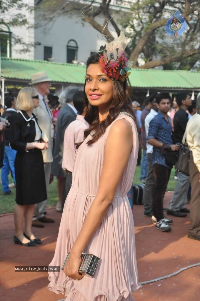 McDowell Signature Indian Derby 2014 - 11 / 78 photos