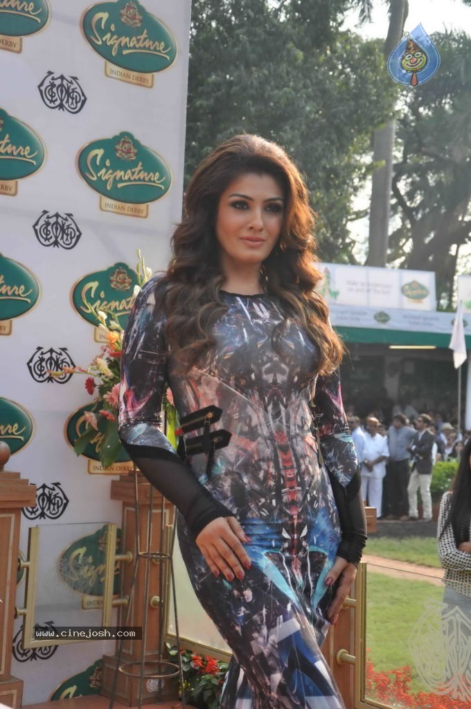 McDowell Signature Indian Derby 2014 - 33 / 78 photos