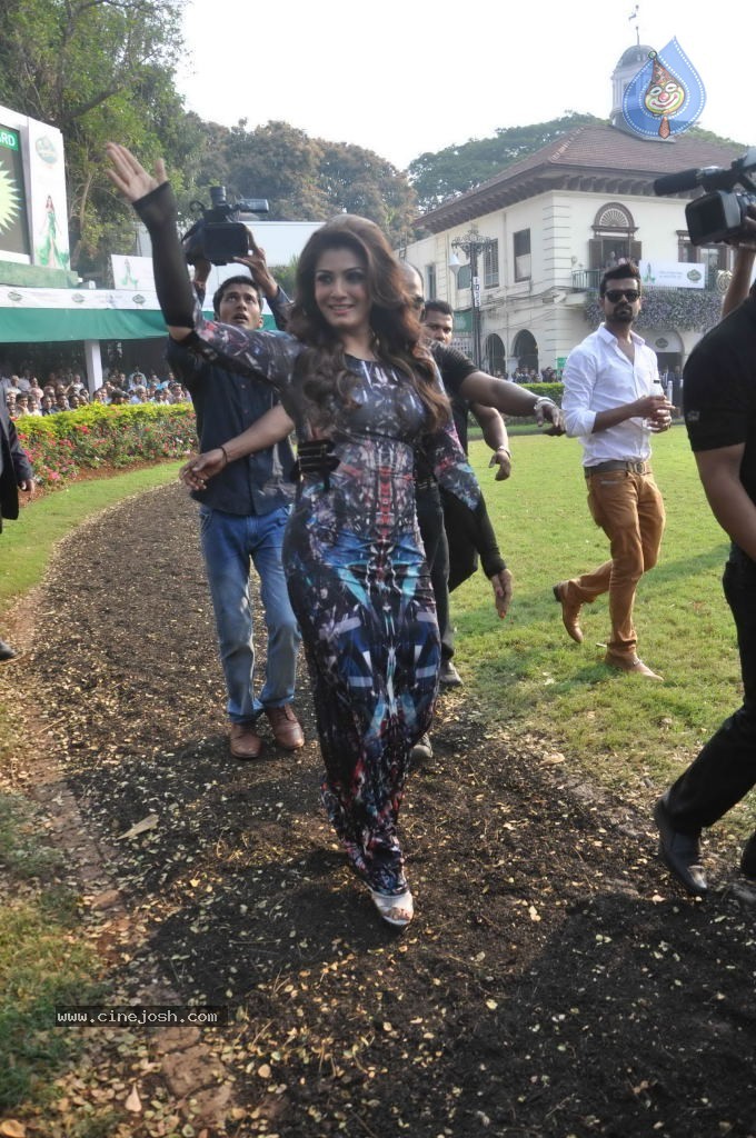 McDowell Signature Indian Derby 2014 - 54 / 78 photos