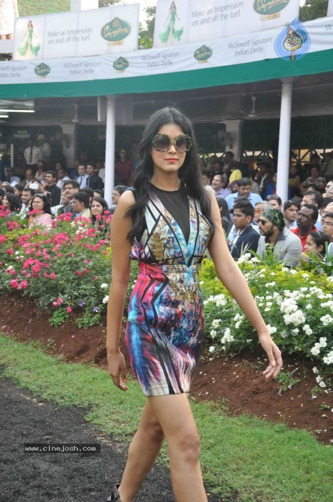 McDowell Signature Indian Derby 2014 - 66 / 78 photos