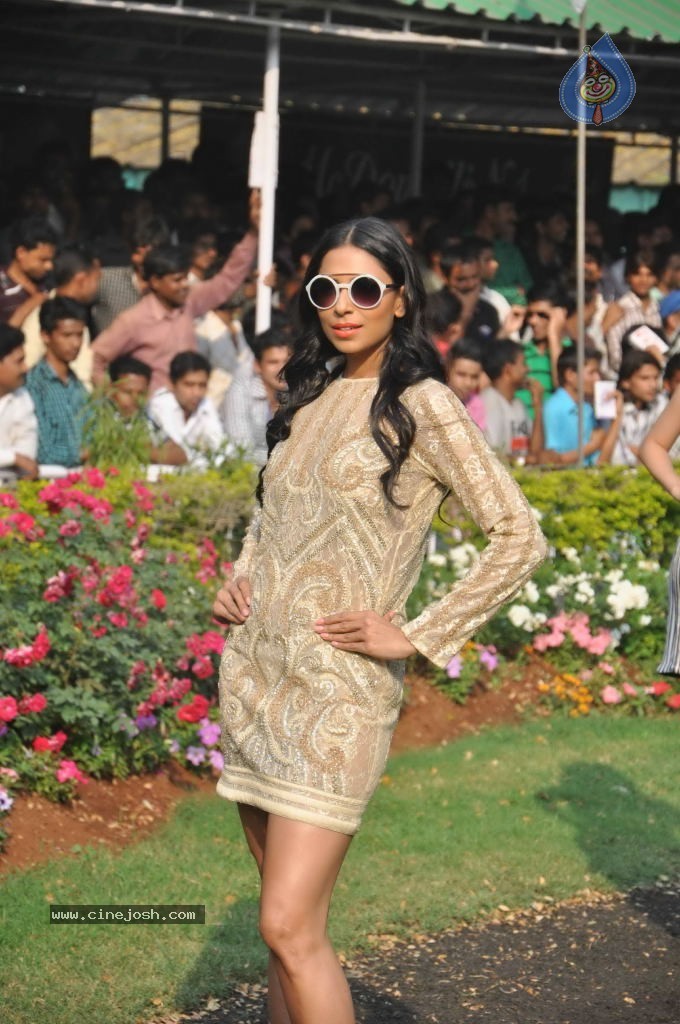 McDowell Signature Indian Derby 2014 - 74 / 78 photos