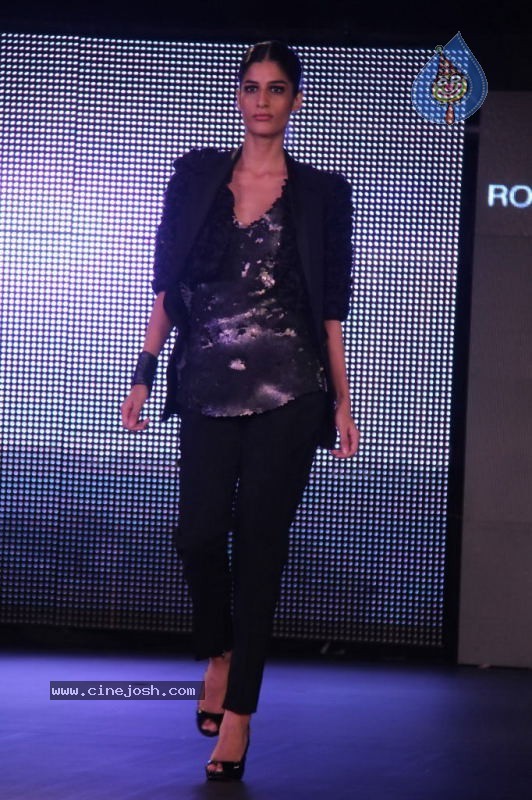 Models at Blenders Pride Fashion Show - 16 / 44 photos