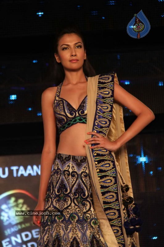 Models at Blenders Pride Fashion Show - 17 / 44 photos