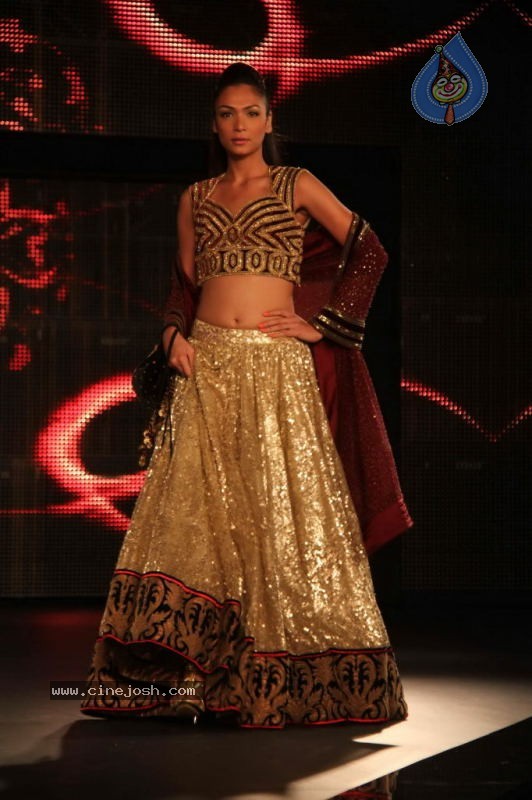 Models at Blenders Pride Fashion Show - 44 / 44 photos