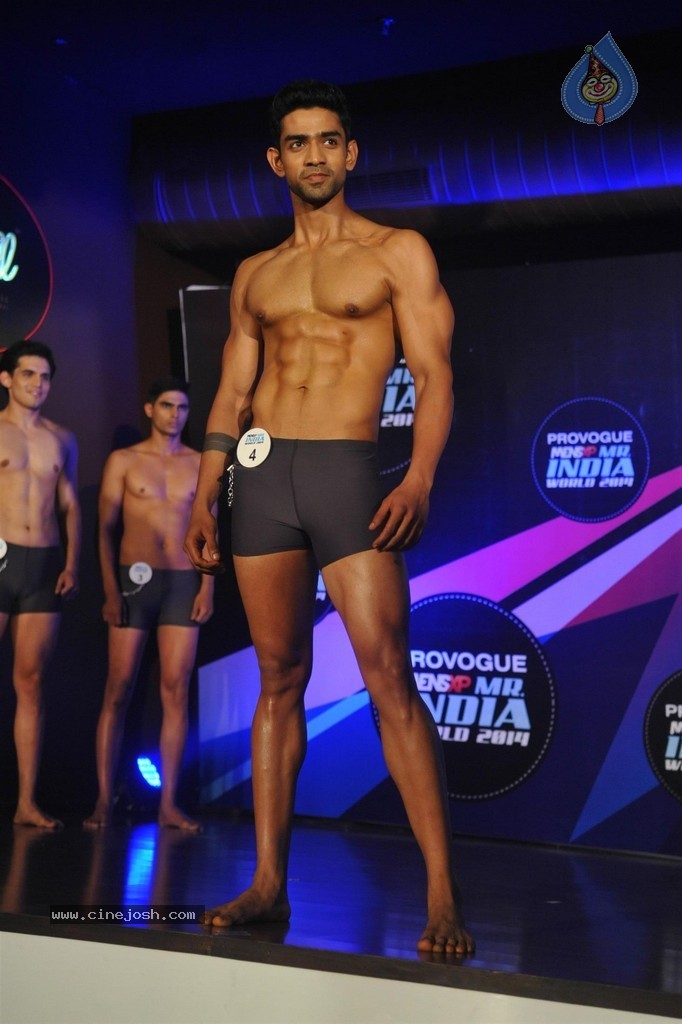Mr India 2014 Grand Finale - 80 / 98 photos