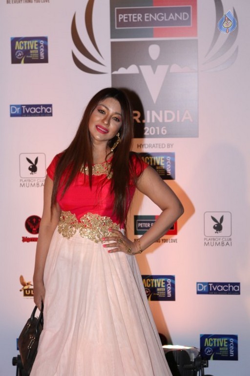 Mr India 2016 Finale Red Carpet - 52 / 63 photos
