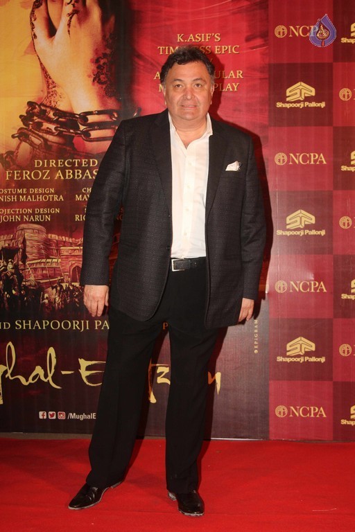 Mughal E Azam Musical Play Red Carpet - 6 / 30 photos