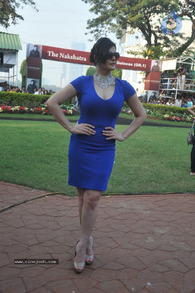 Nakshatra Guineas Race 2012 Event - 47 / 60 photos