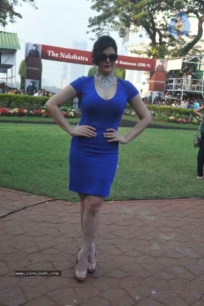 Nakshatra Guineas Race 2012 Event - 56 / 60 photos