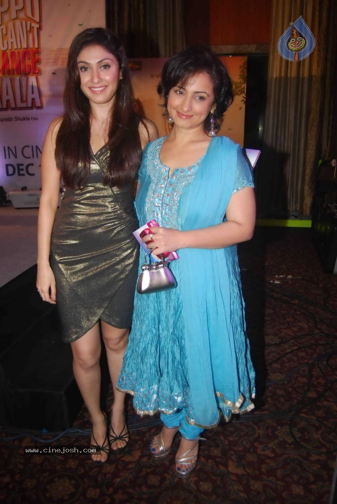 Pappu Can't Dance Saala Music Launch - 40 / 63 photos