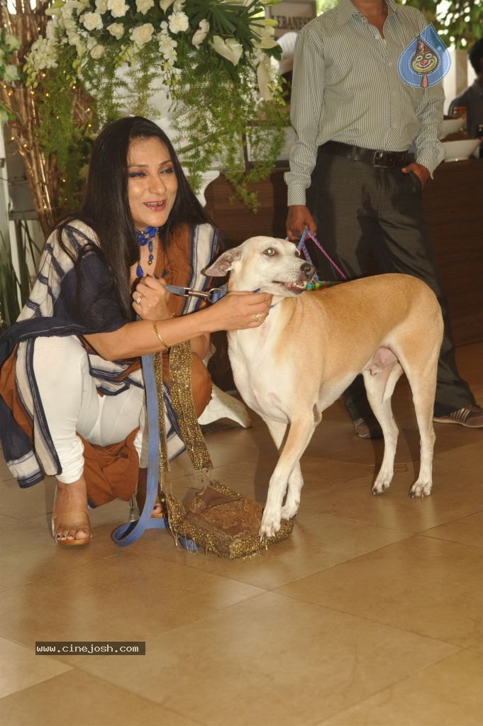 Pawsitive People Awards Ceremony - 4 / 48 photos