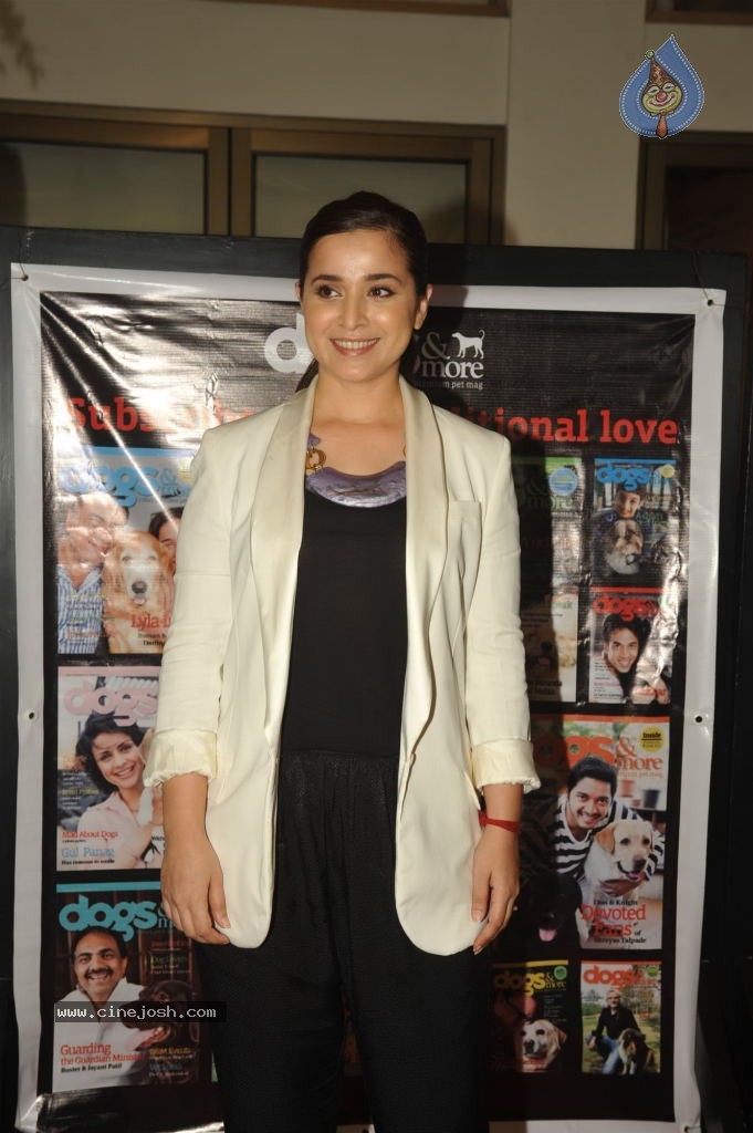 Pawsitive People Awards Ceremony - 6 / 48 photos