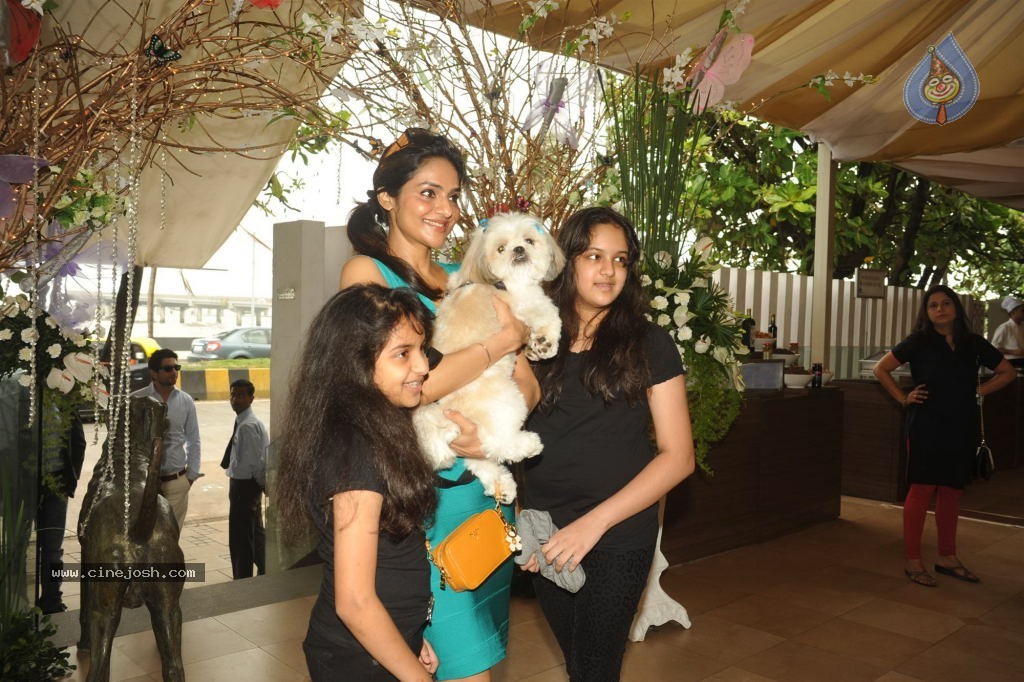 Pawsitive People Awards Ceremony - 10 / 48 photos