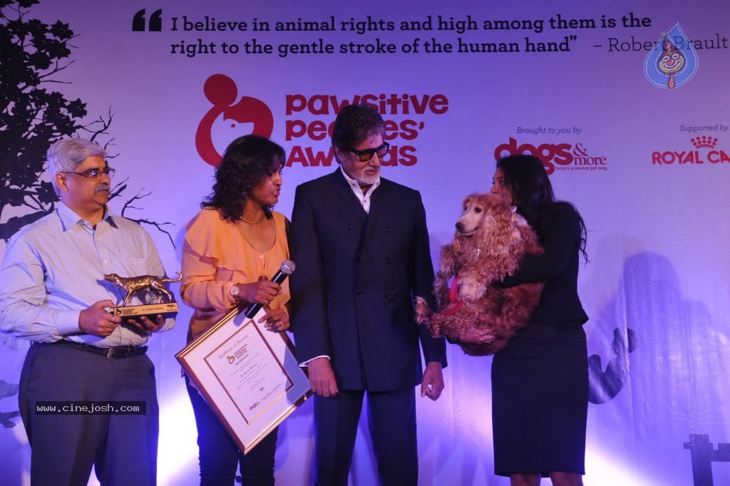 Pawsitive People Awards Ceremony - 11 / 48 photos