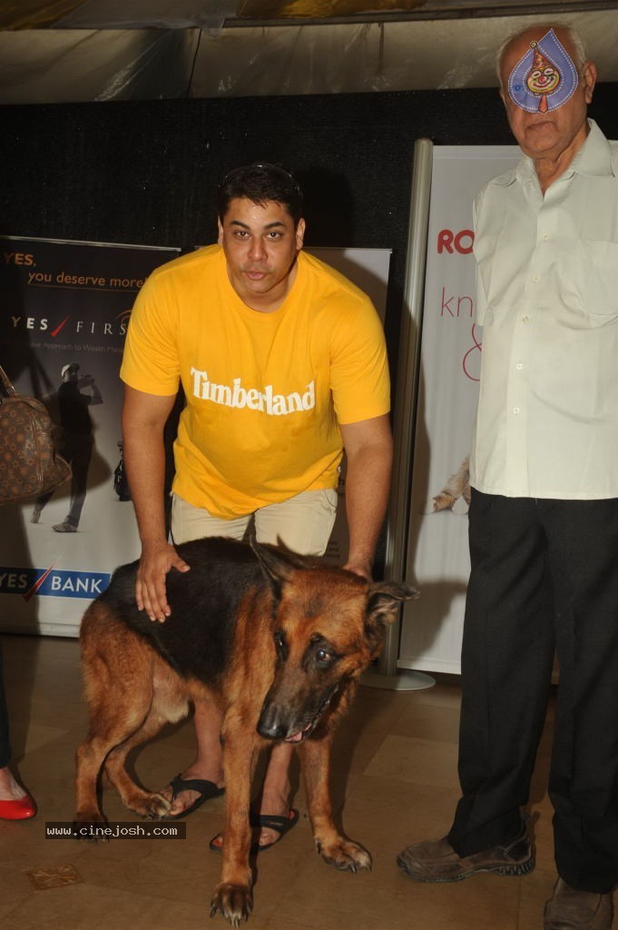 Pawsitive People Awards Ceremony - 12 / 48 photos