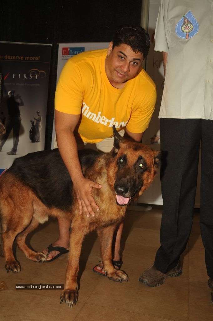 Pawsitive People Awards Ceremony - 16 / 48 photos