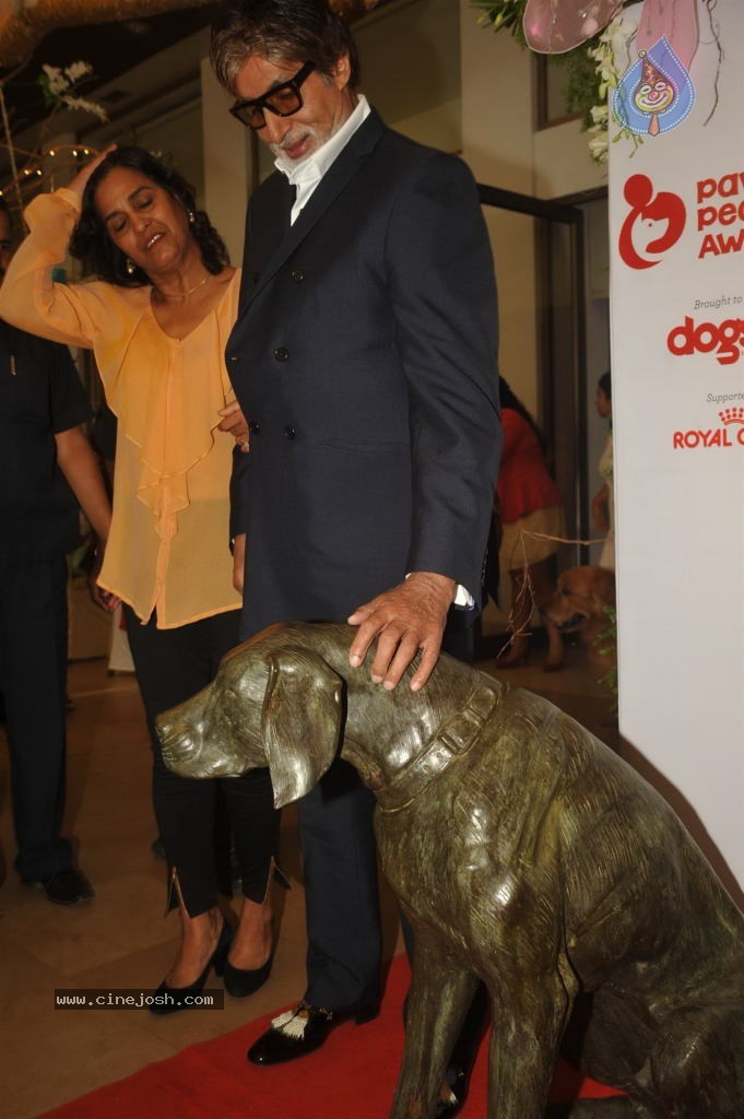 Pawsitive People Awards Ceremony - 32 / 48 photos