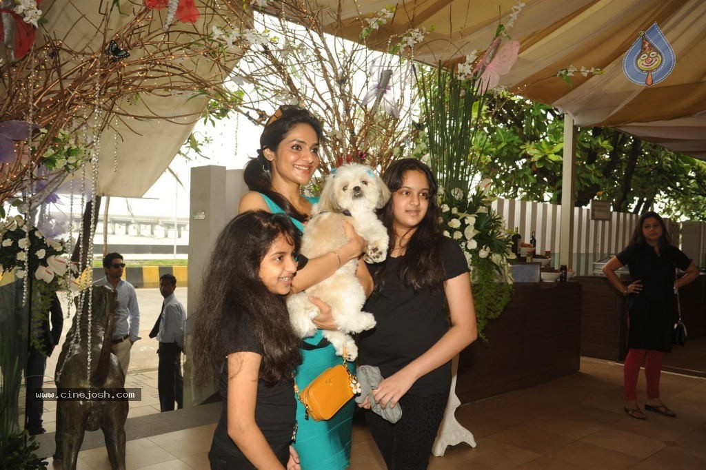 Pawsitive People Awards Ceremony - 44 / 48 photos