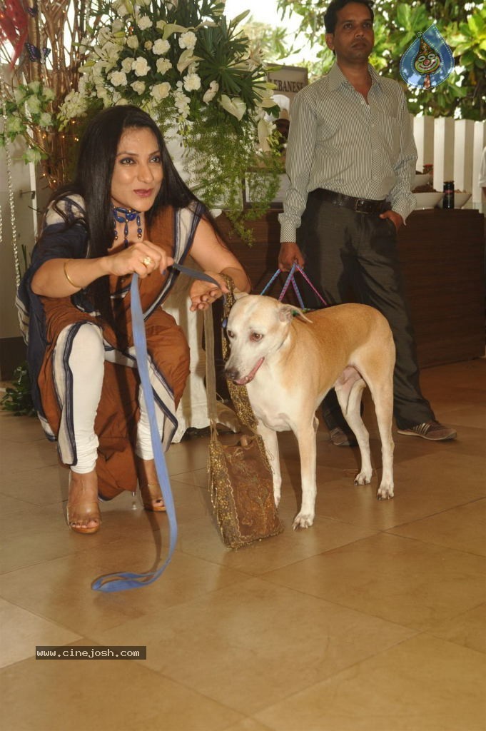 Pawsitive People Awards Ceremony - 48 / 48 photos