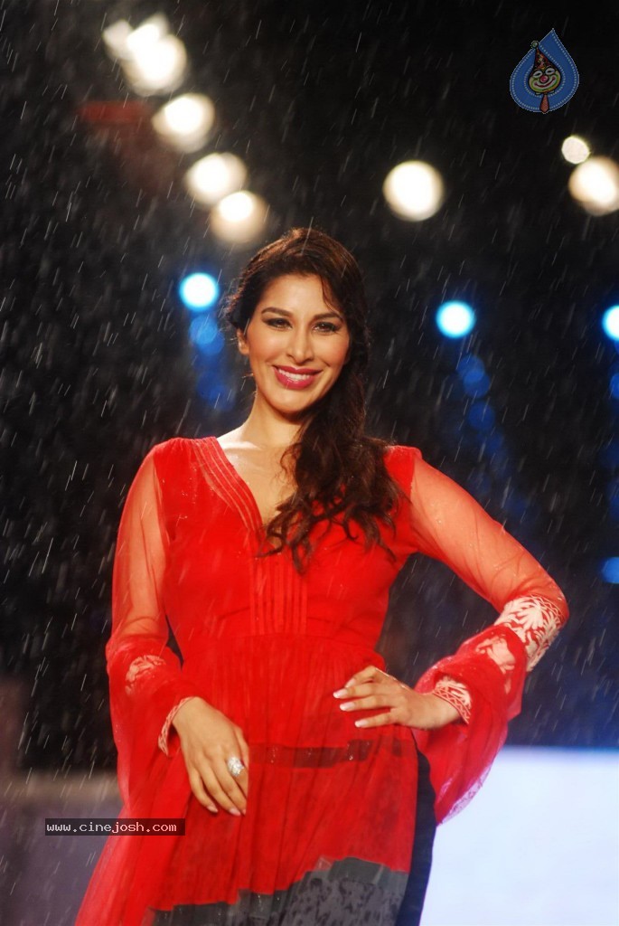 Pidilite 8th Annual Caring with Style Fashion Show - 4 / 127 photos