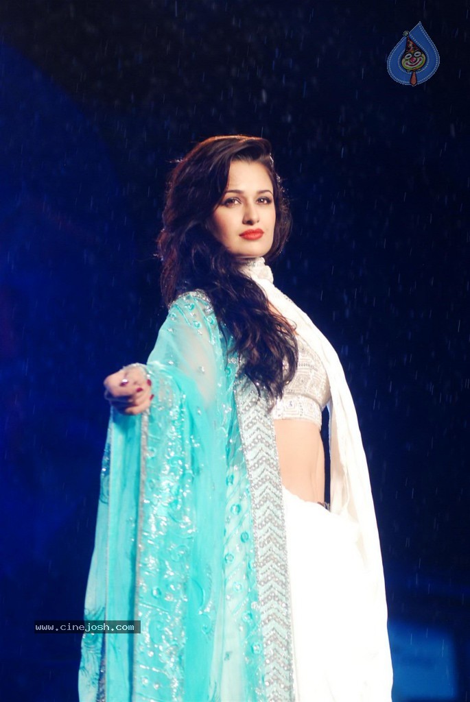 Pidilite 8th Annual Caring with Style Fashion Show - 27 / 127 photos