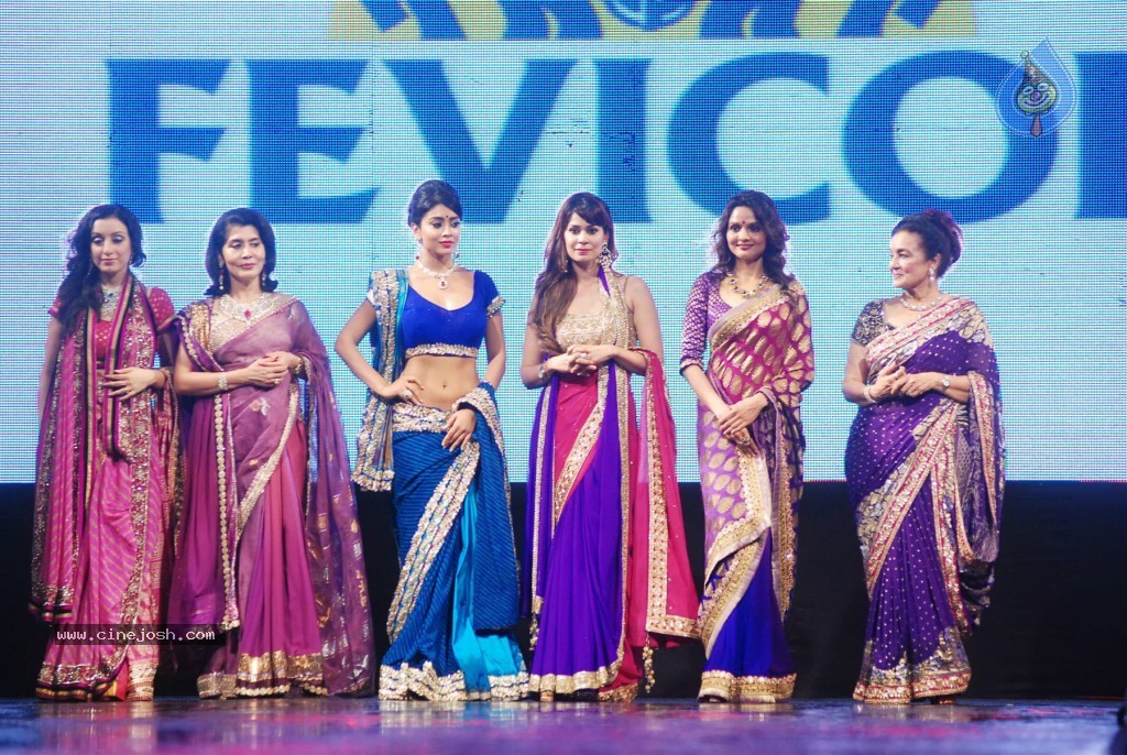 Pidilite 8th Annual Caring with Style Fashion Show - 51 / 127 photos