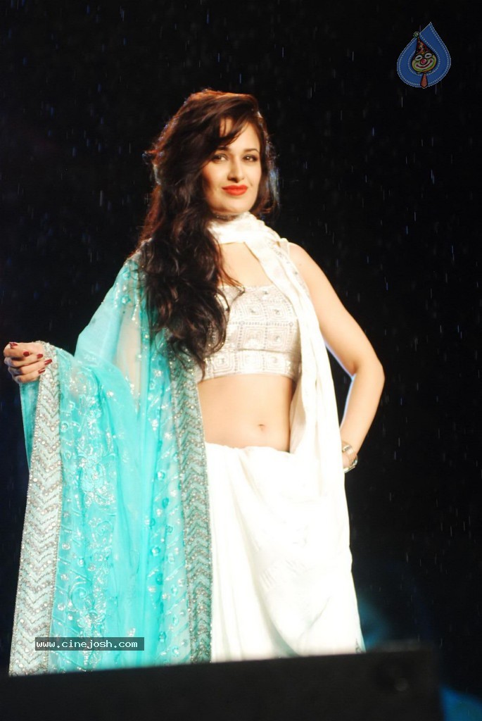 Pidilite 8th Annual Caring with Style Fashion Show - 111 / 127 photos