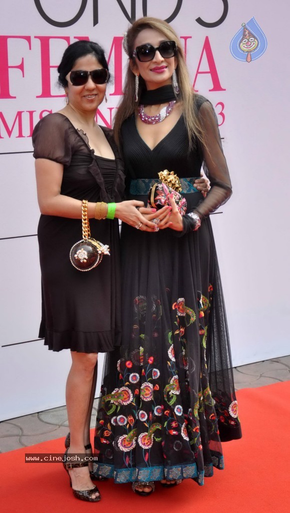 Ponds Femina Miss India 2013 Red Carpet Look - 5 / 42 photos