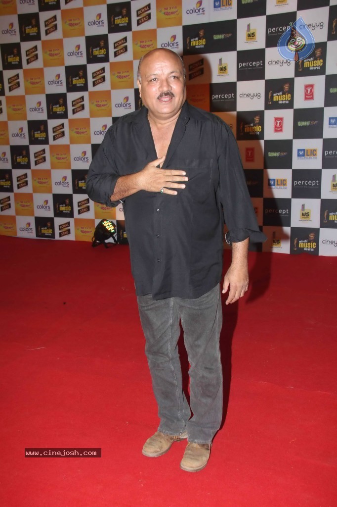 Radio Mirchi Awards 2012 Red Carpet - 103 / 104 photos