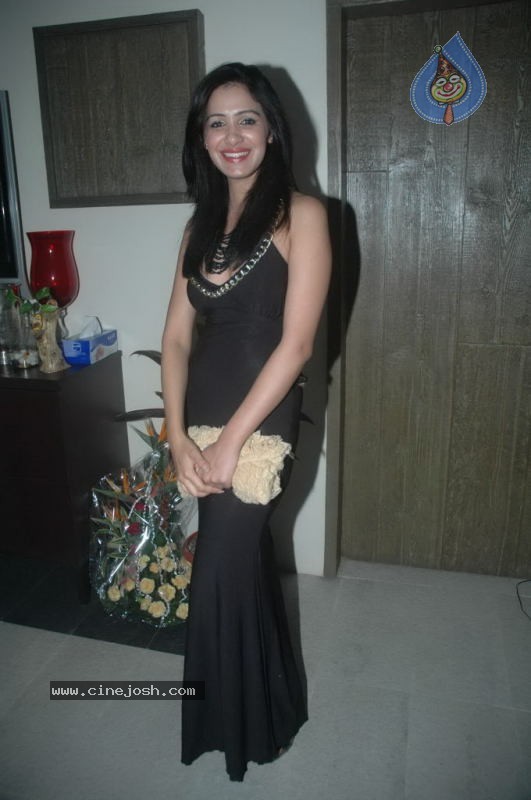 Rahul and Dimpy Mahajan Bday Party - 32 / 42 photos