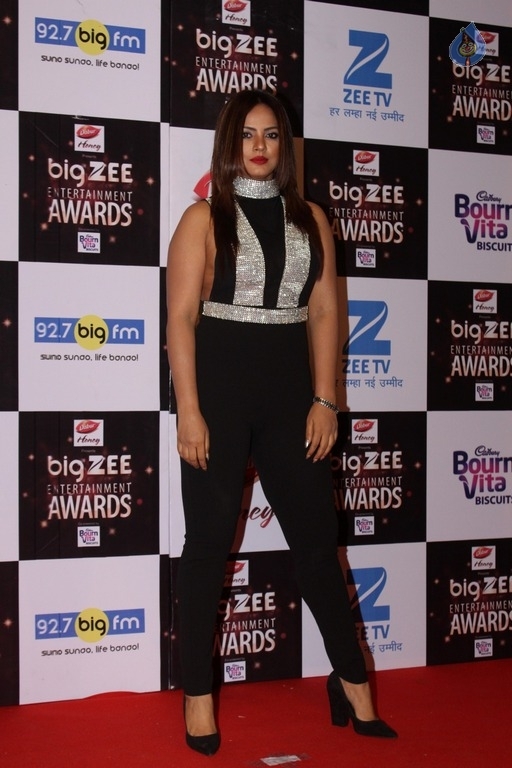 Zee Entertainment Awards Red Carpet  - 34 / 60 photos