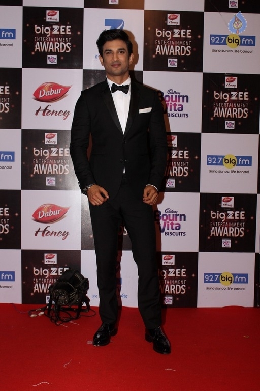 Zee Entertainment Awards Red Carpet  - 43 / 60 photos