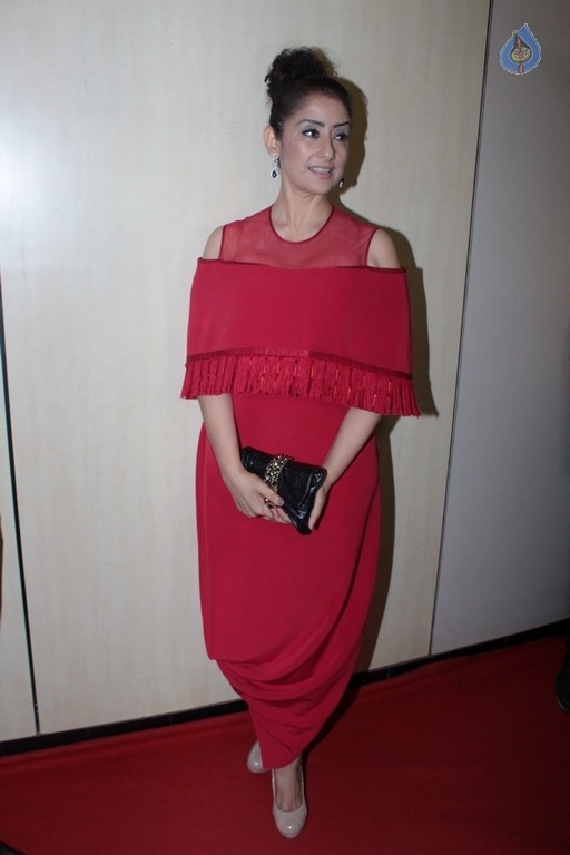 Red Carpet Of Dada Saheb Phalke Academy Awards - 17 / 30 photos