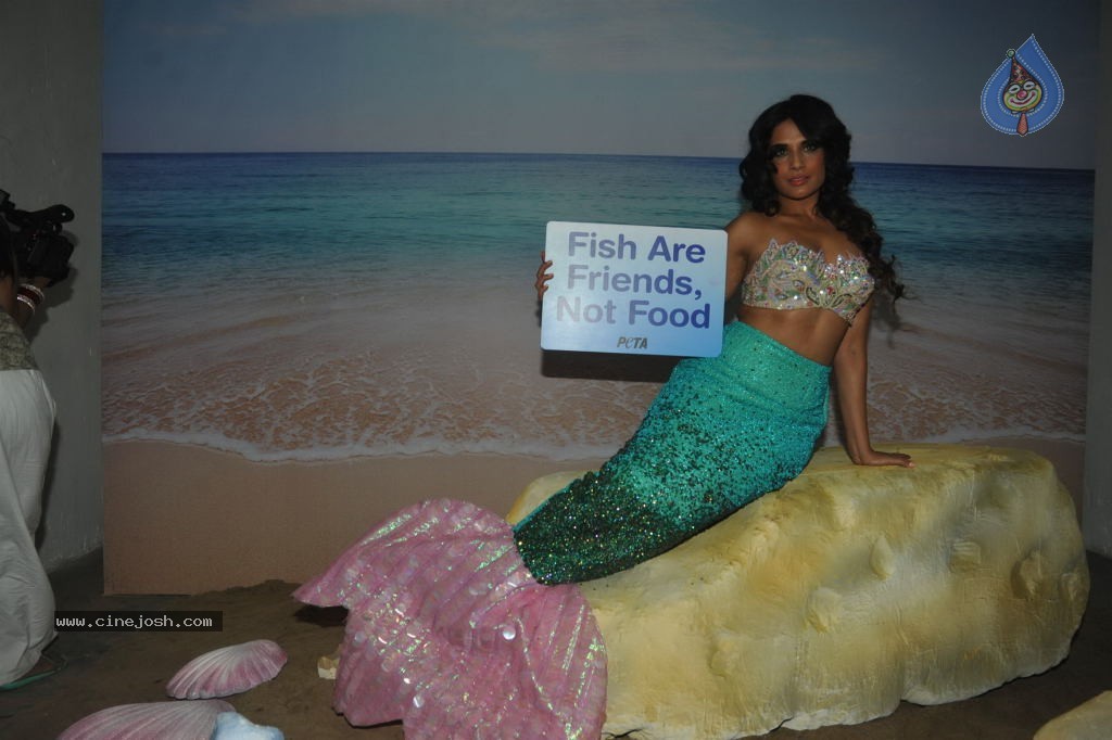 Richa Chadda Peta Vegetarian Ad Shoot - 29 / 36 photos