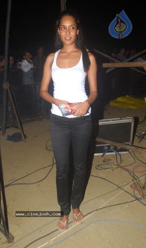 Rockstar Movie Team Performs at Mum Concert - 45 / 57 photos