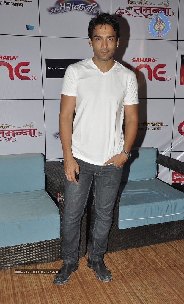 Sahara One Television Serials Success Party - 12 / 35 photos