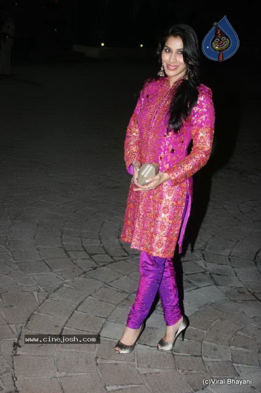 Sameer Neelam Wedding Reception - 56 / 57 photos