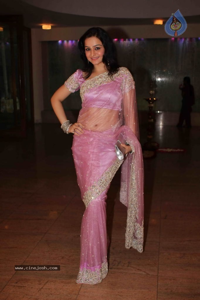 Saurab Vanzara Wedding Reception - 31 / 33 photos