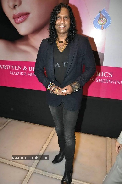 Say Yes to Love Movie Music Launch - 25 / 39 photos